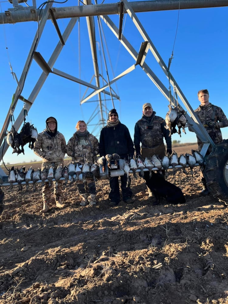 Central Texas Duck Hunts W/ Lodging In Eastland