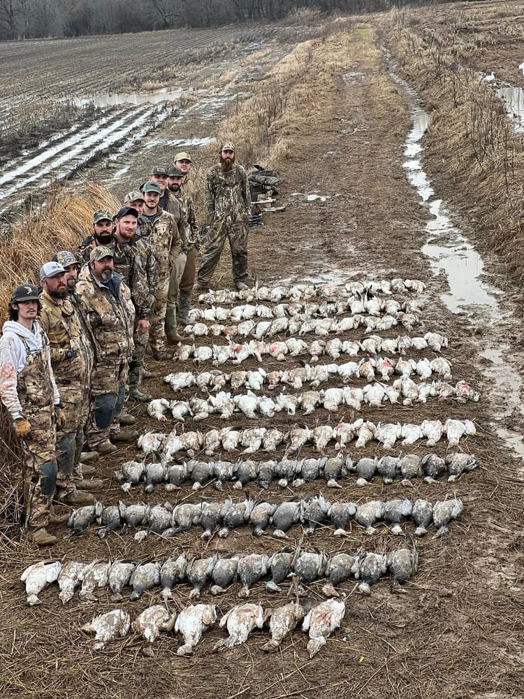 Arkansas Conservation Goose Hunts In Pine Bluff