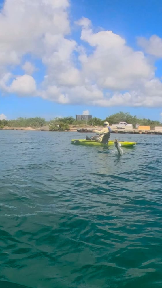 Kayak Fishing Trip: 6 Hours In Christiansted