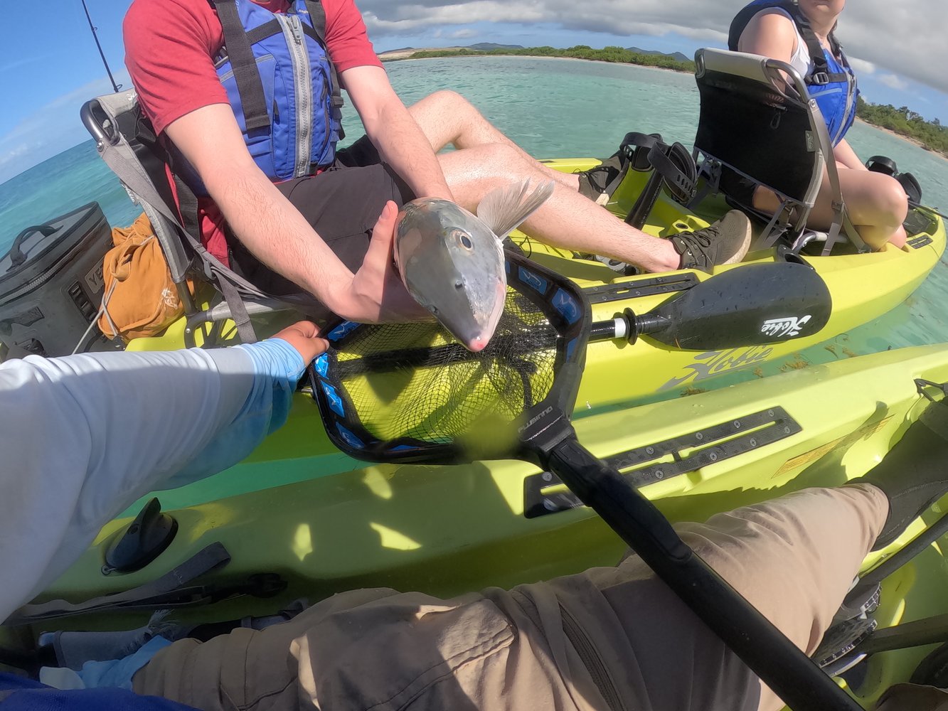 Kayak Fishing Trip: 6 Hours In Christiansted