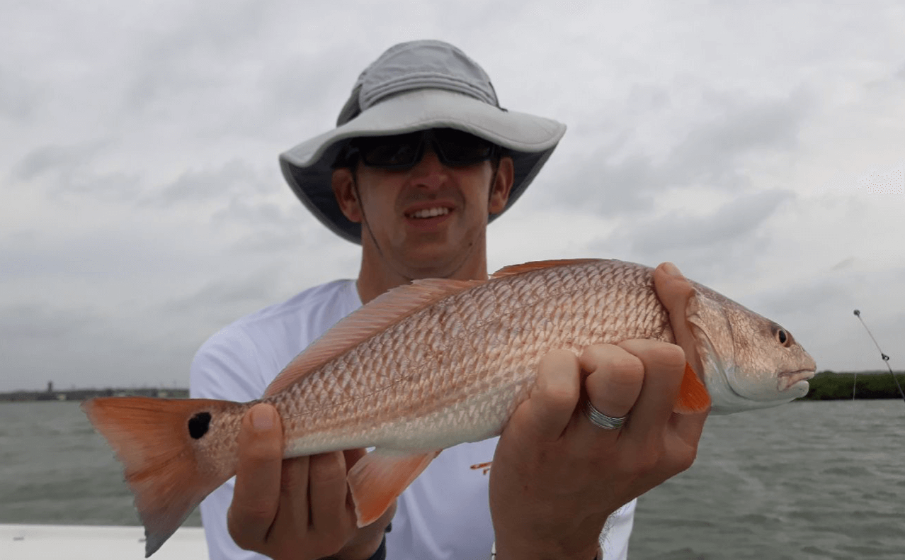 Coastal Bend Honey Holes In Corpus Christi