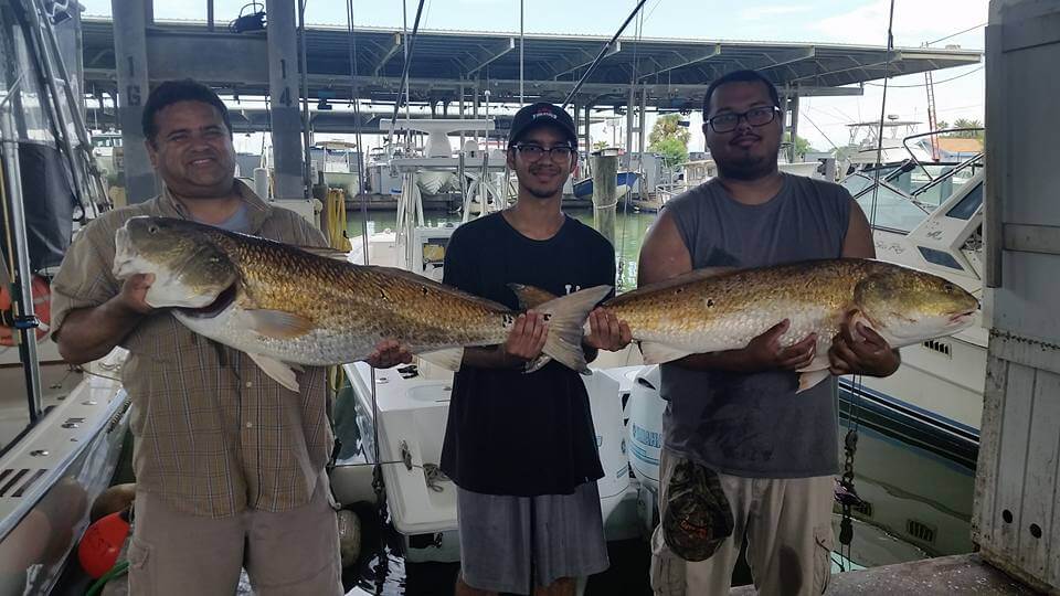 Shark And Bull Drum Trip In Galveston