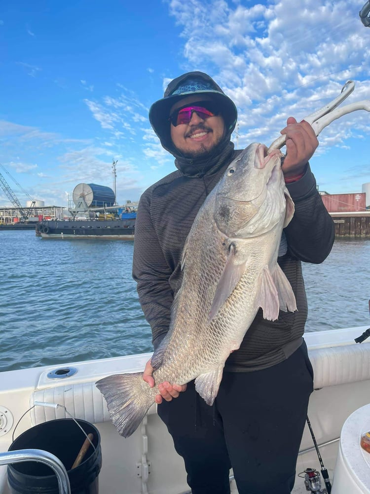 Shark And Bull Drum Trip In Galveston