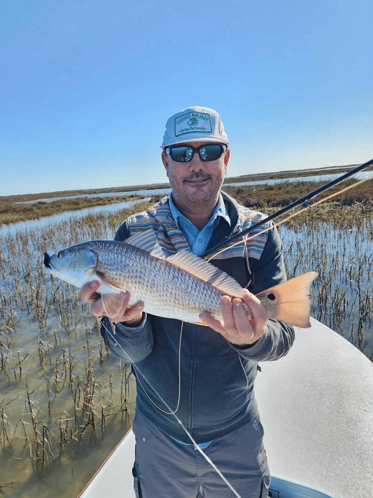 Fly Fish Rockport Half Day In Rockport