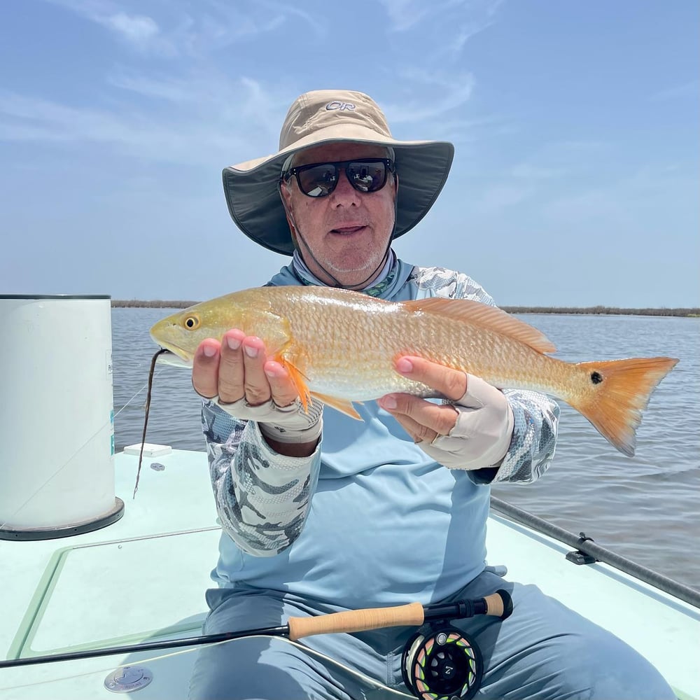 Fly Fish Rockport Half Day In Rockport