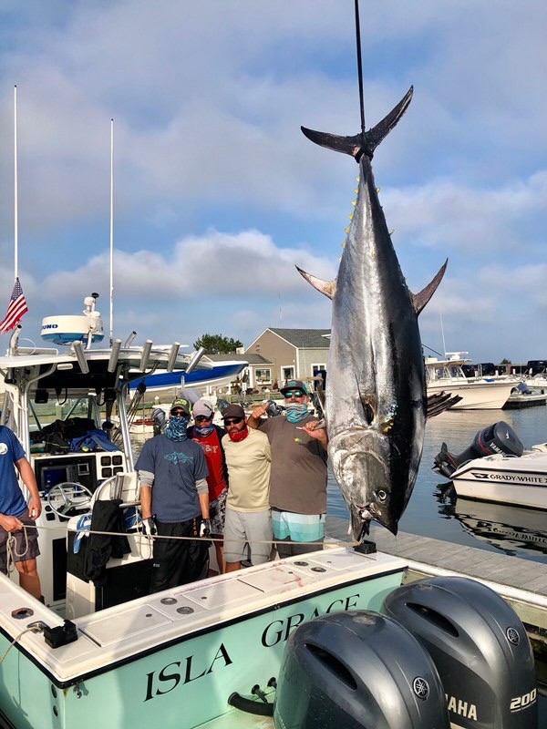 Tuna Trip - 26'  Regulator In Chatham