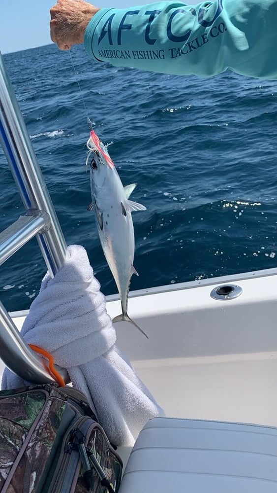 Destin Nearshore Run In Destin