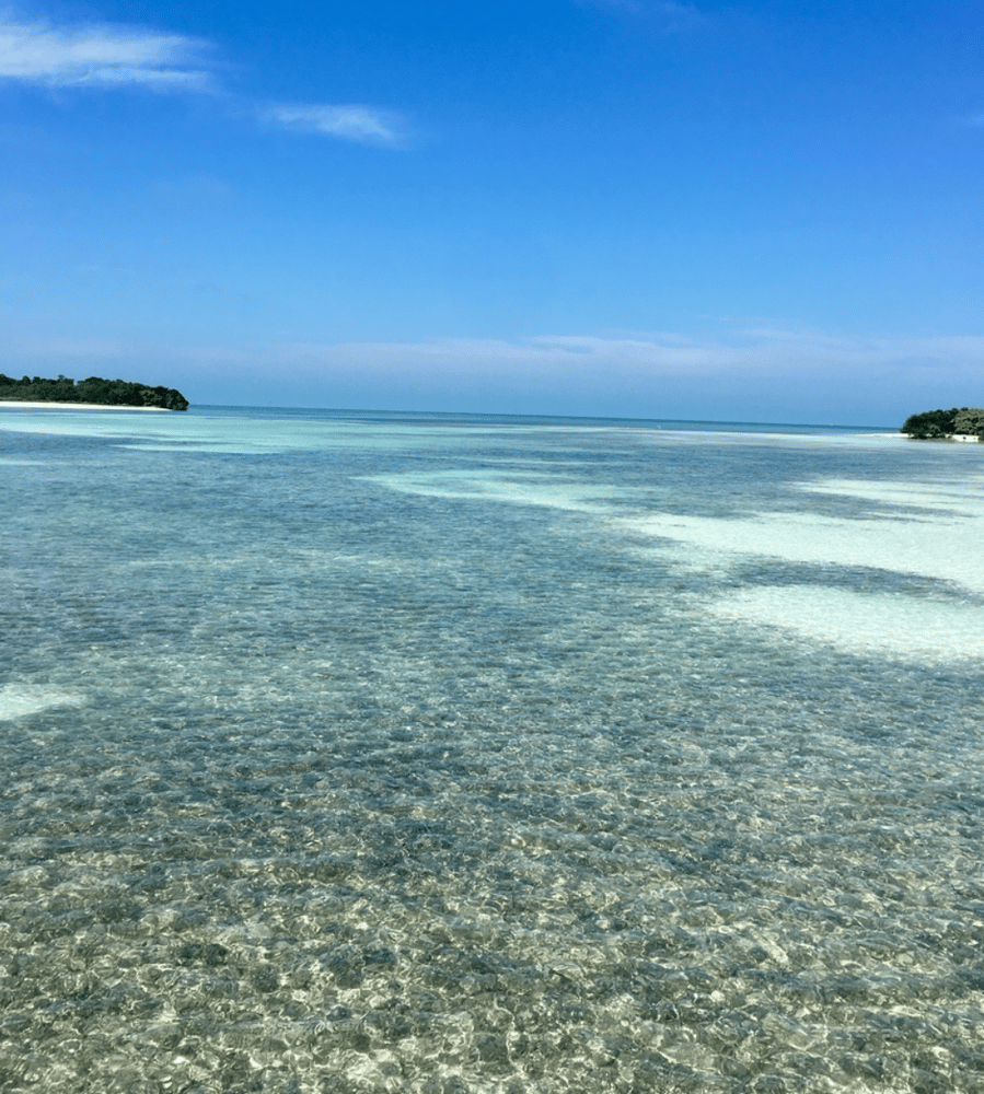 Florida Keys Bonefish & Permit In Summerland Key