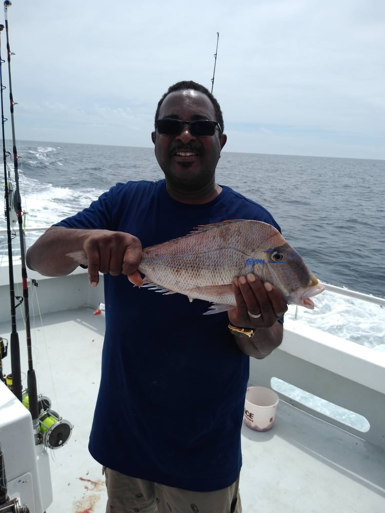 Destin 5 HR Private Fishing Charter In Destin