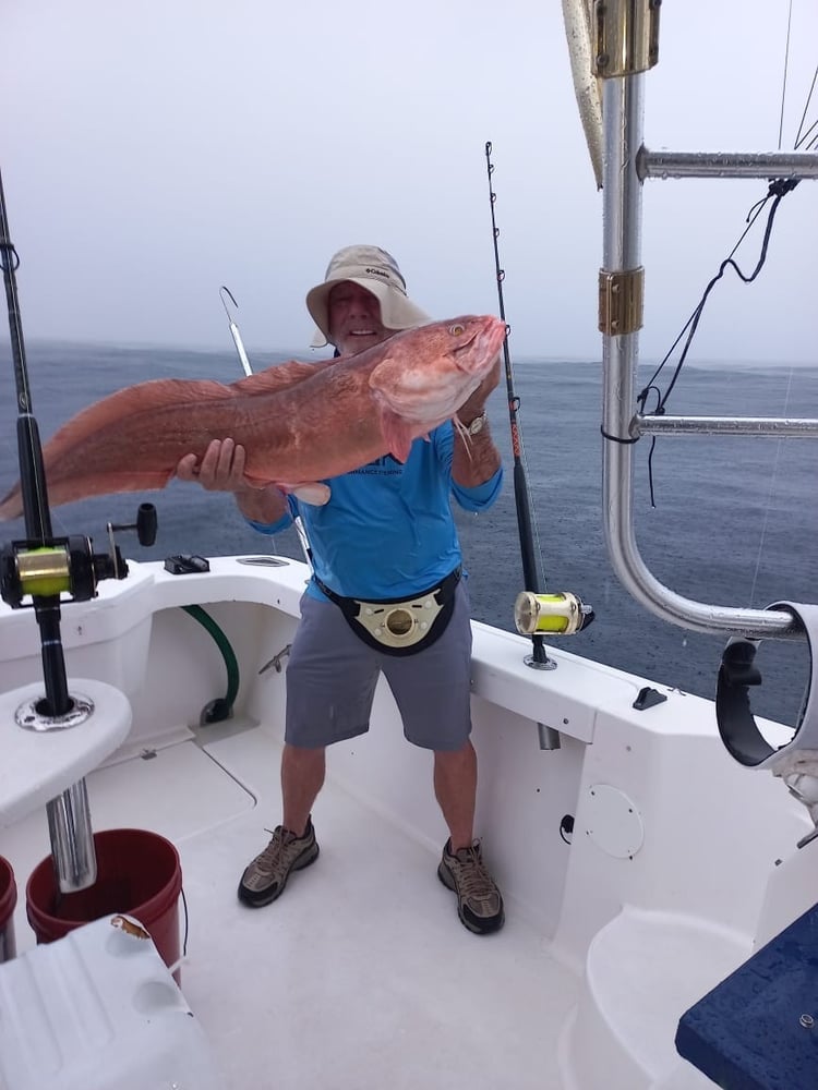 Roosterfish, Grouper, Snapper In Puerto Jiménez