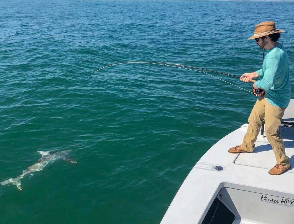 Shark Fishing Trip In Ogden