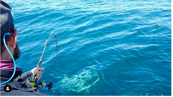 Shark Fishing Trip In Ogden