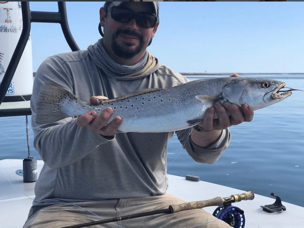 Speckled Trout Fishing Trip In Ogden