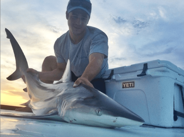 Shark Fishing Trip In Ogden