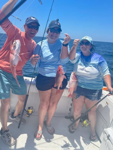 Pensacola Fishing Frenzy In Pensacola