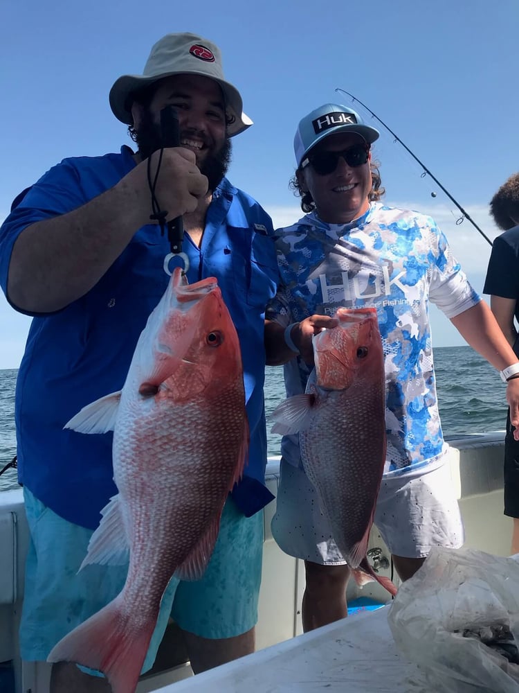 Giant Amberjack Trip In Galveston