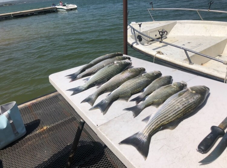 Lake Buchanan Special In Burnet