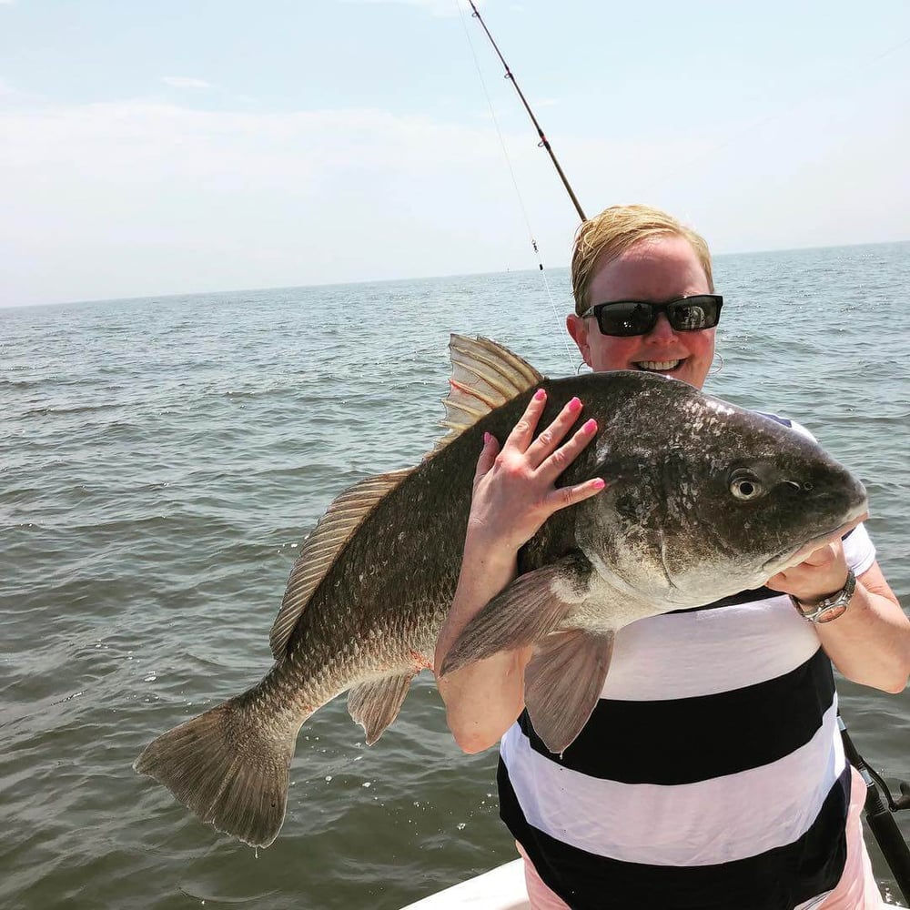 Shark Hunt- 23' Edgewater (June-August) In Galveston