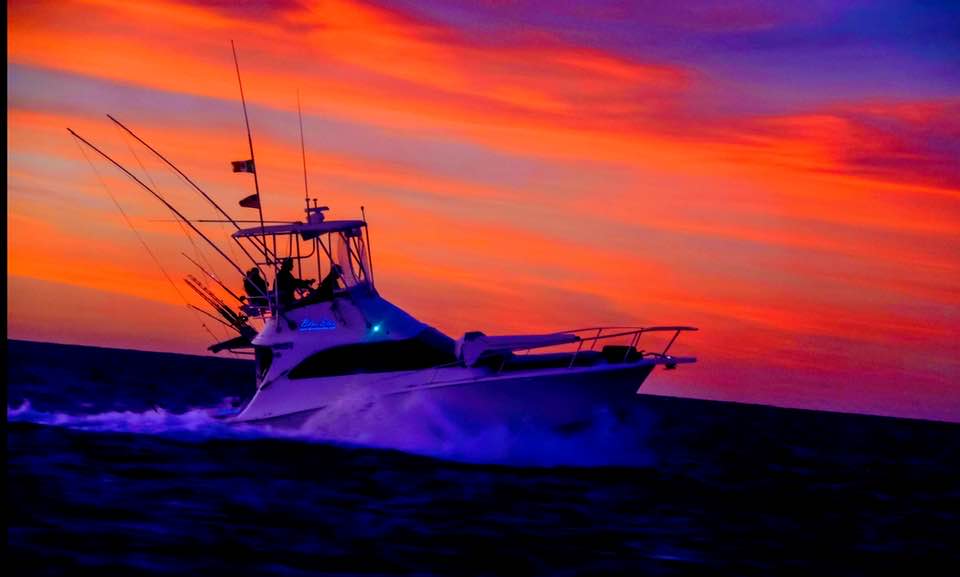 Cabo VIP Fishing - 32’ Luhrs 5-8hrs In Cabo San Lucas