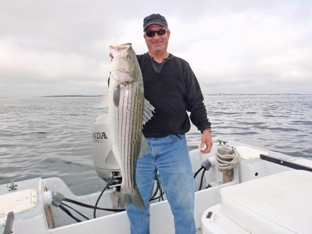 Early Season Striper - 26’ In Chatham