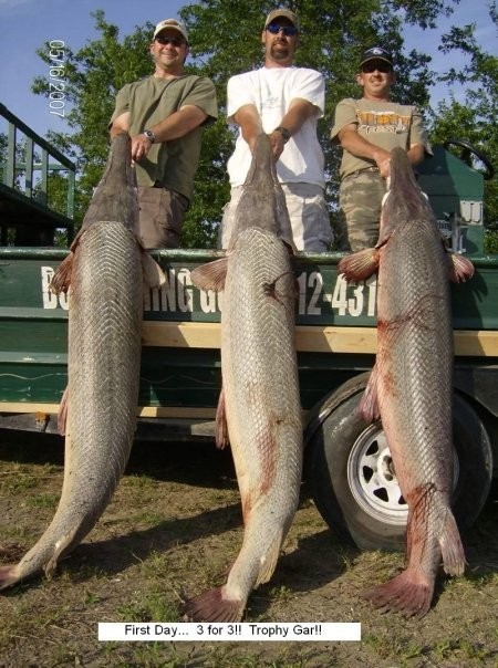 Monster Gar On Rod And Reel In Houston