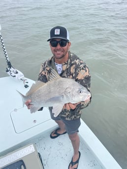 Black Drum Fishing in Rockport, Texas