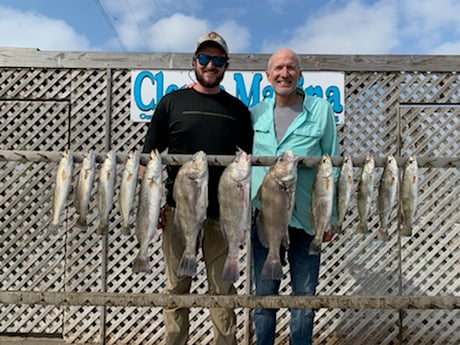 Black Drum, Speckled Trout / Spotted Seatrout fishing in Corpus Christi, Texas