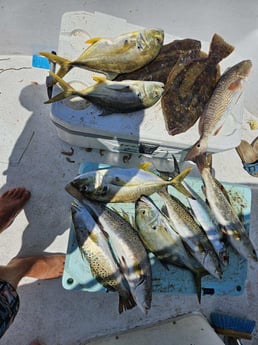 Fishing in Cedar Key, Florida