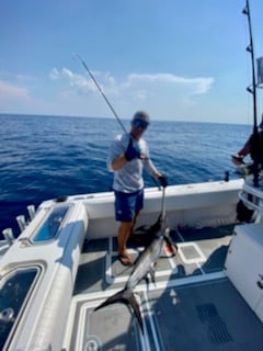 Swordfish fishing in Destin, Florida