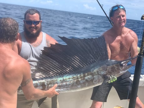 Sailfish fishing in Beaufort, North Carolina