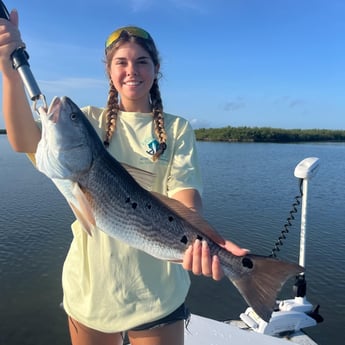 Redfish Fishing in New Smyrna Beach, Florida