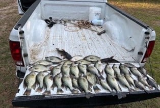 Crappie Fishing in Crystal River, Florida