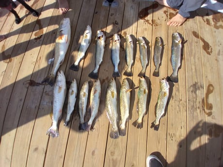 Redfish, Speckled Trout Fishing in South Padre Island, Texas