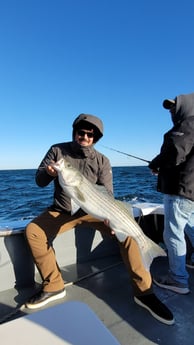 Striped Bass fishing in Barnstable, Massachusetts