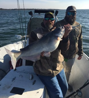 Fishing in Whitney, Texas