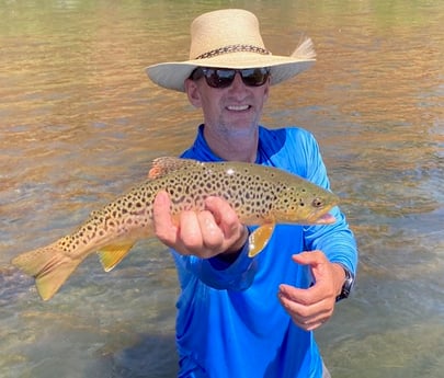 Brown Trout fishing in Bend, Oregon