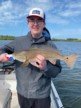 Redfish fishing in St. Petersburg, Florida