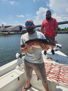 Mangrove Snapper, Scup, Vermillion Snapper Fishing in Pensacola, Florida