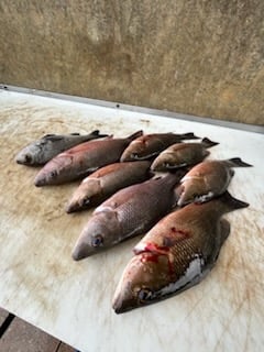 Fishing in Port Orange, Florida