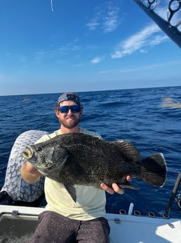 Tripletail Fishing in Pompano Beach, Florida