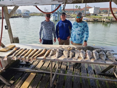 Redfish fishing in Port O&#039;Connor, Texas