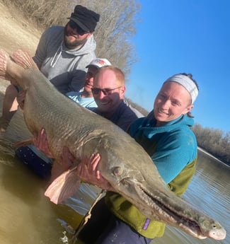 Alligator Gar fishing in Livingston, Texas