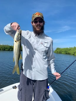 Spanish Mackerel fishing in Clearwater, Florida