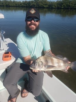 Black Drum Fishing in New Smyrna Beach, Florida