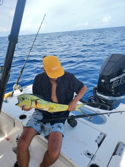 Mahi Mahi Fishing in Key Largo, Florida