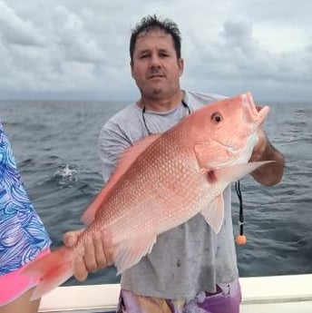 Red Snapper fishing in Clearwater, Florida