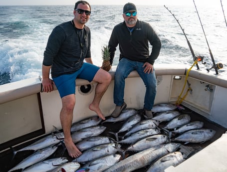 Black Drum, Little Tunny / False Albacore, Tilefish, Wahoo fishing in Galveston, Texas