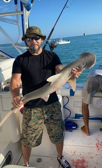 Bonnethead Shark fishing in South Padre Island, Texas