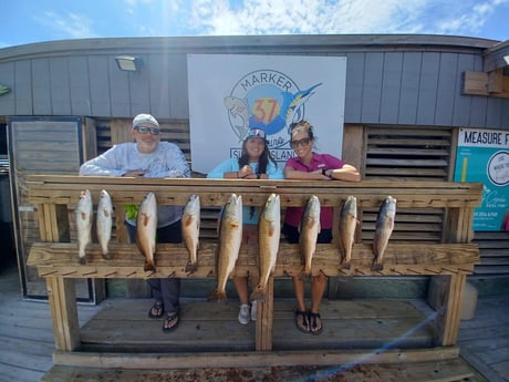 Redfish, Speckled Trout / Spotted Seatrout Fishing in Corpus Christi, Texas