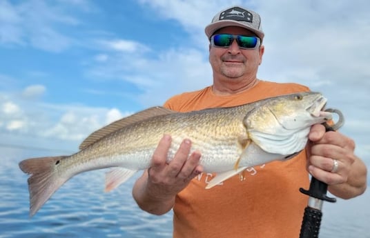 Redfish Fishing in Rio Hondo, Texas